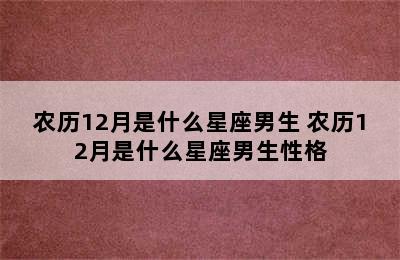 农历12月是什么星座男生 农历12月是什么星座男生性格